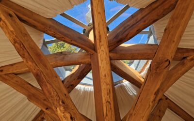 Construction écologique avec des matériaux locaux pour la réalisation d’une salle octogonale