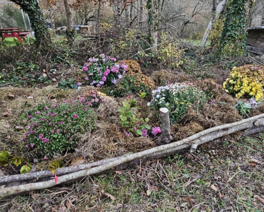 article fleurs cimetière