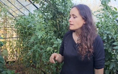 Autonomie alimentaire : entre potager et écosystème familial chez Marie Chioca