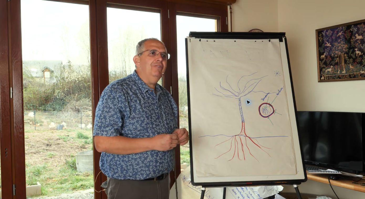 Un schéma explique la relation entre racines, greffon et tissus de l’arbre.