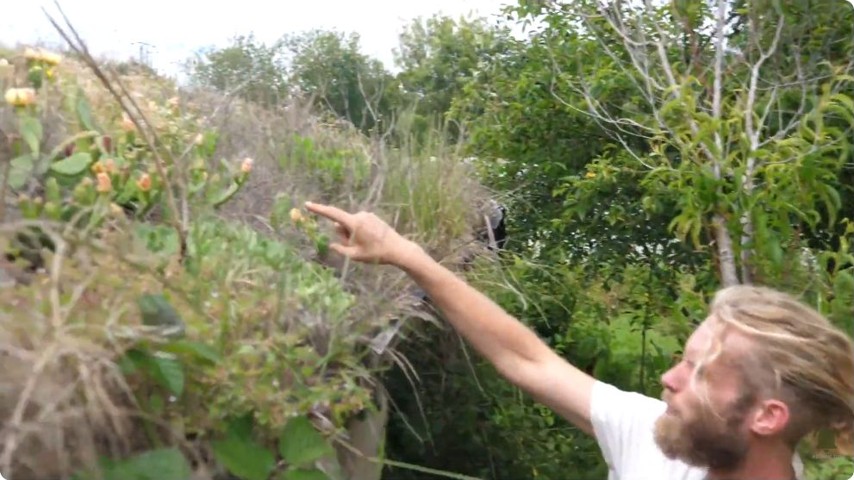 Bastian présente les arbres et les cultures installés au fil des années.
