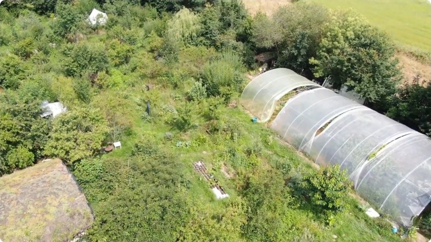 Une vue d’ensemble montre la densité du jardin et la place de la serre.