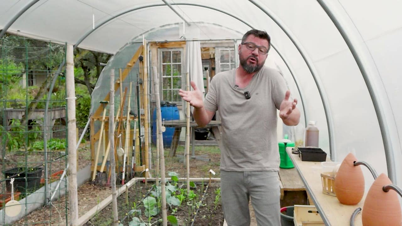 Sébastien présente l’espace de culture sous serre
