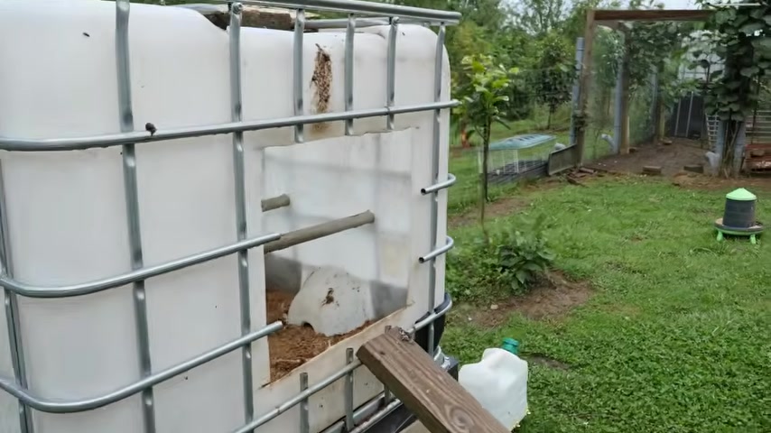 Une cuve est aménagée en abri pour les poules.