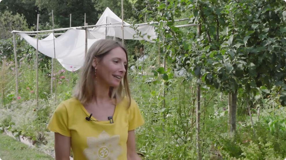 Aurélie présente son jardin en Haute-Garonne