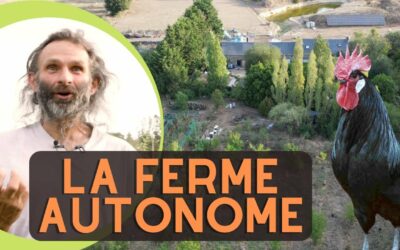 Près de Nantes, Dominique relie pépinière, animaux et équipements dans sa ferme