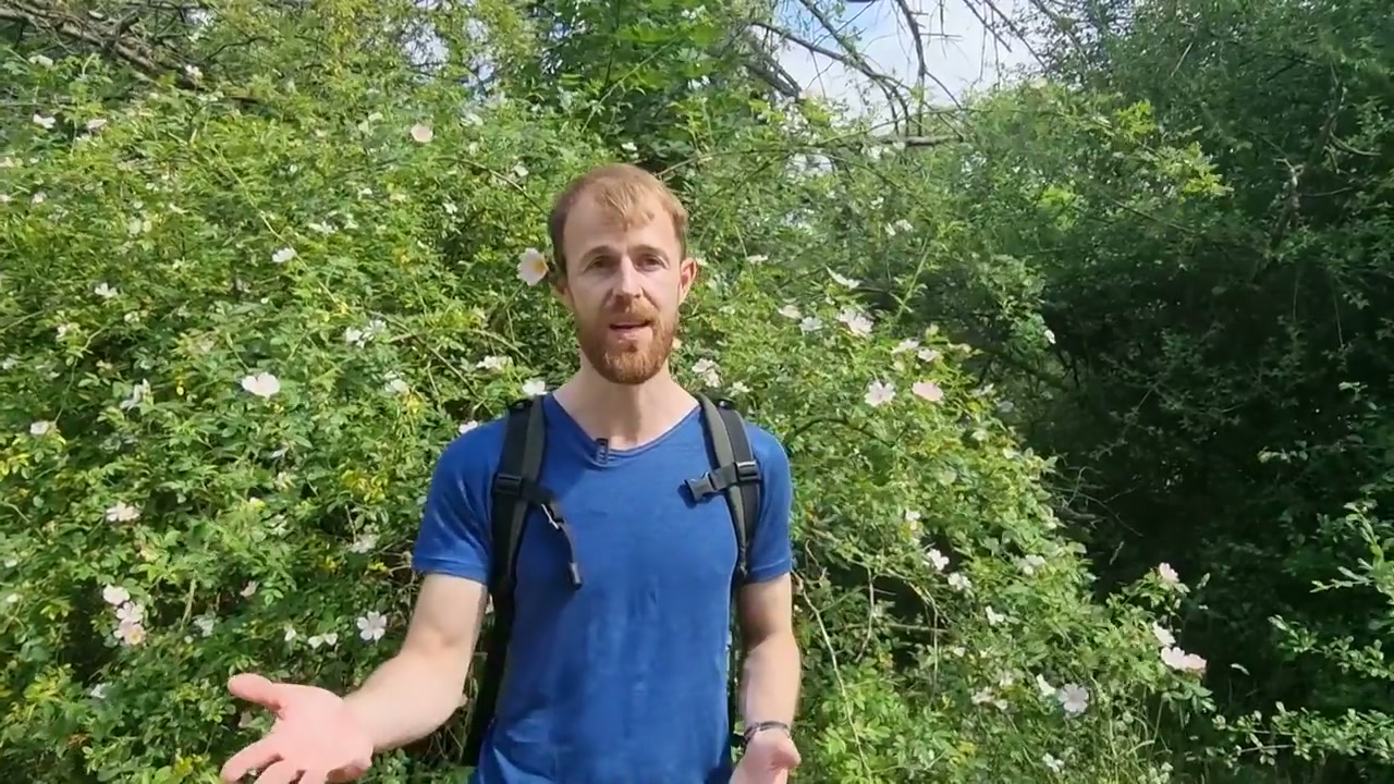 L’observation des plantes accompagne la promenade.