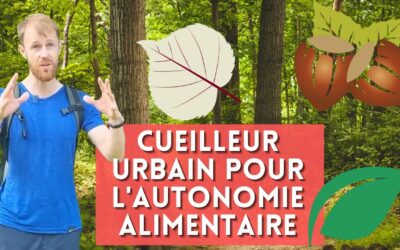 Au bois de Vincennes, apprendre à regarder les plantes avec Le Chemin de la Nature