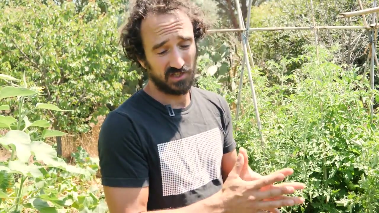 Les échanges se poursuivent au milieu des cultures du potager.