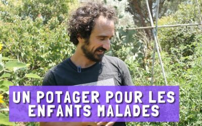 Aux Jardins de Babeuf, Nicolas cultive des paniers solidaires pour les familles