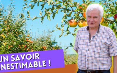 Près de Nantes, Michel et Gabriel transmettent les savoirs d’un verger de sauvegarde