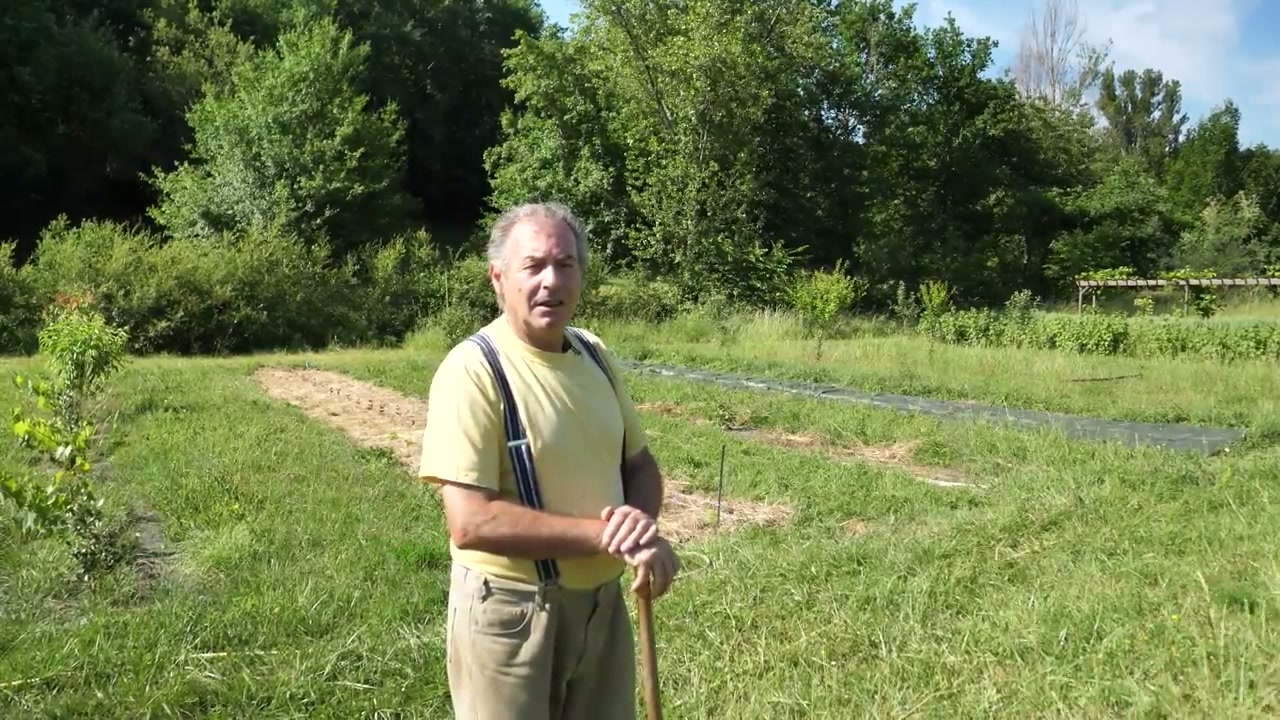 La visite permet de revenir sur les essais menés au potager.