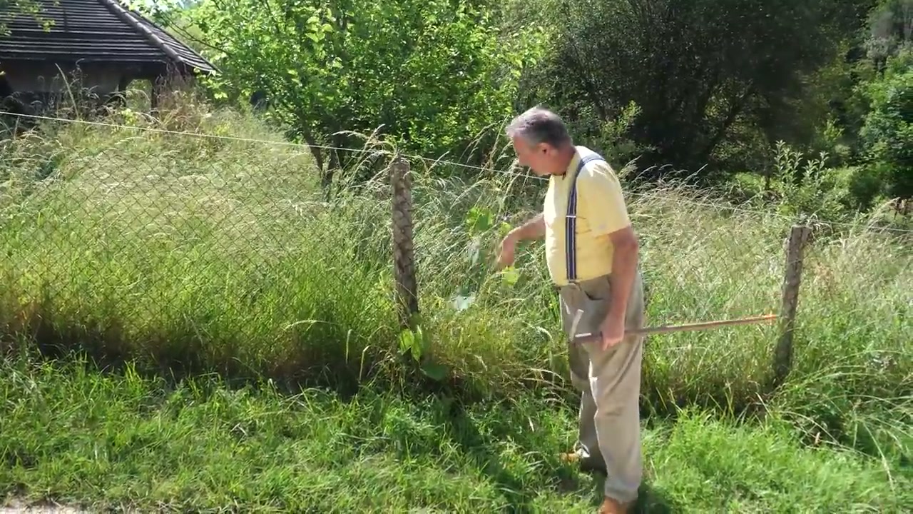 Dominique poursuit le parcours près des arbres et de la végétation.