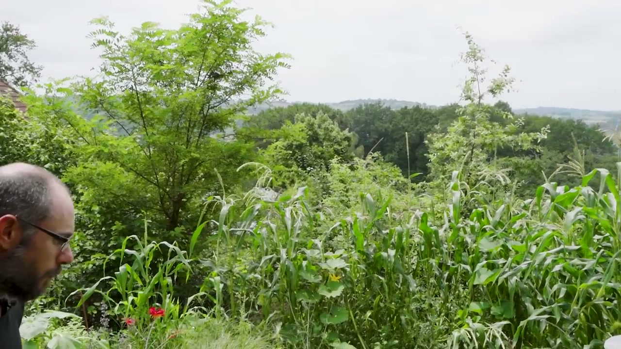 Un passage au milieu des cultures de la ferme.