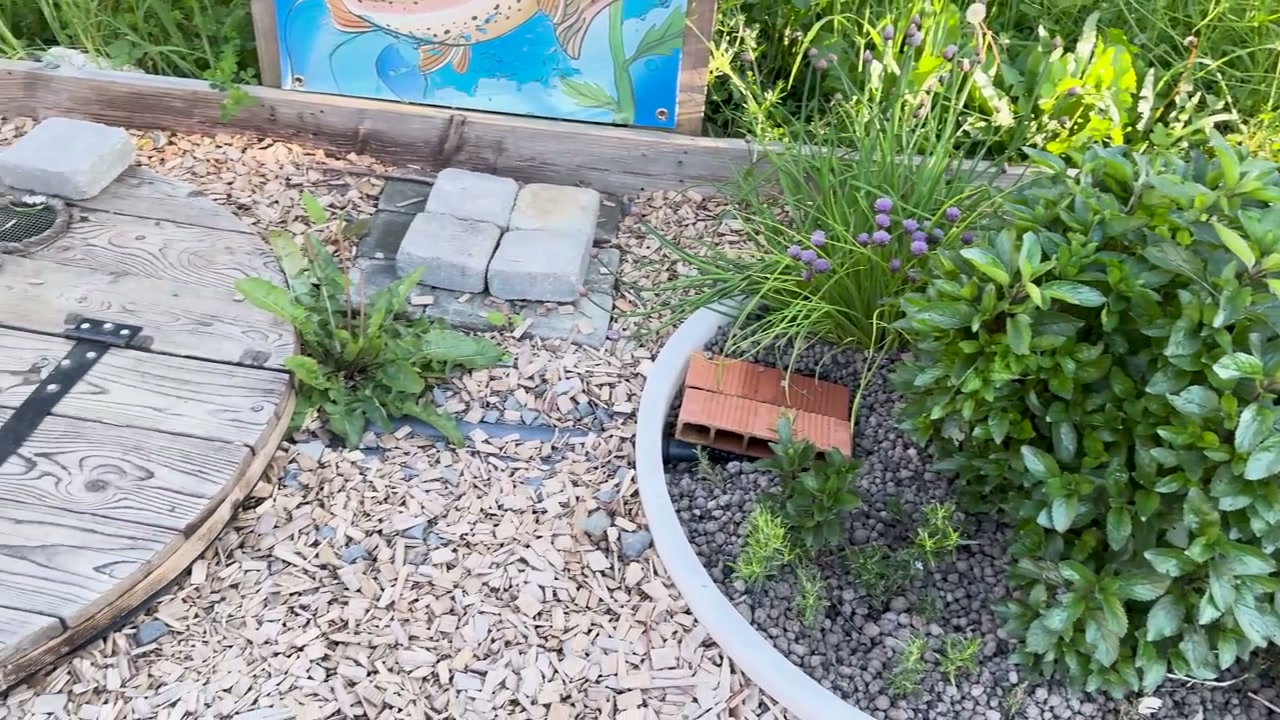 Un aménagement végétalisé du showroom d’aquaponie.