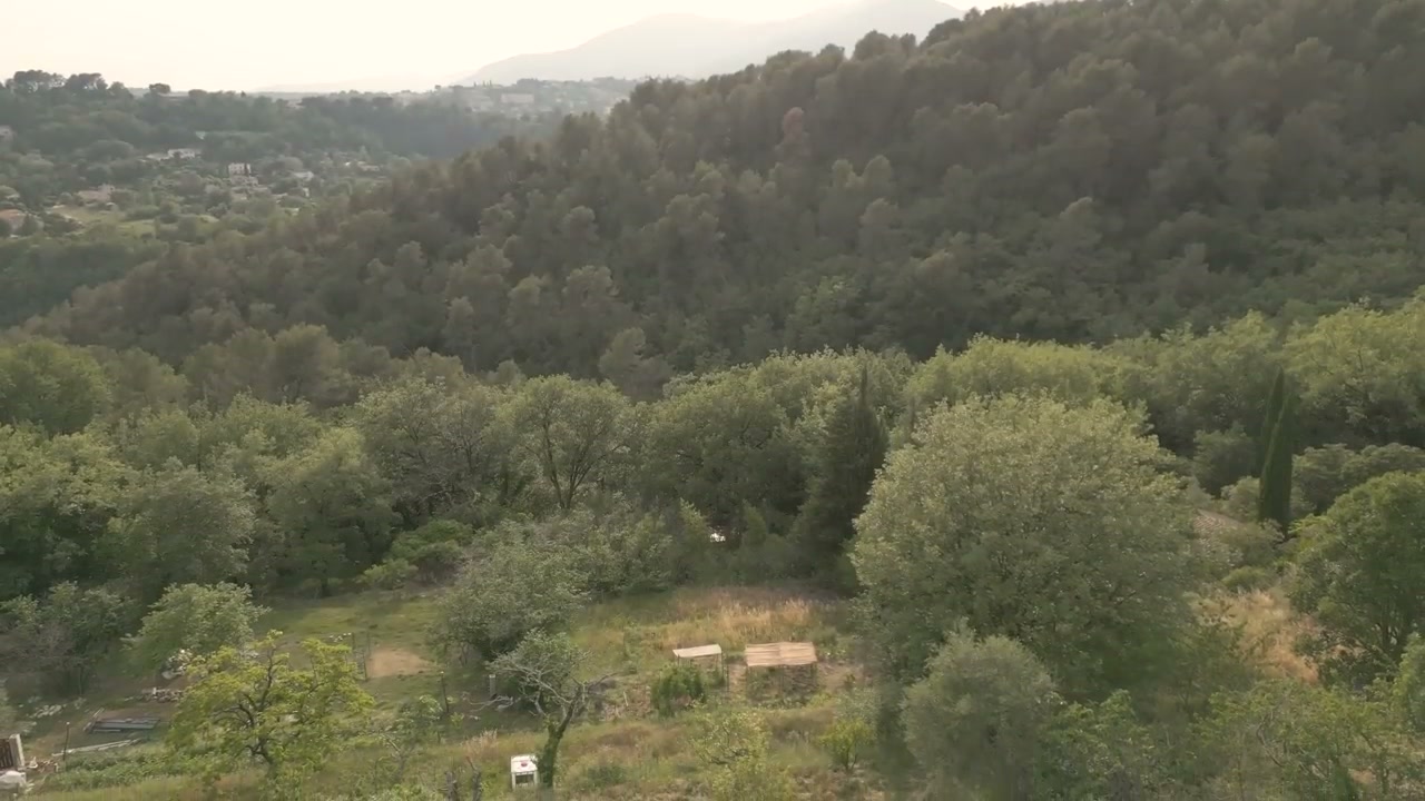 Une vue du jardin et du relief environnant.