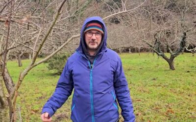 Dans la Montagne noire, la châtaigne du verger à la transformation