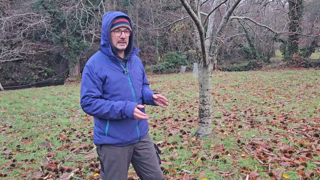 Les explications se poursuivent au milieu des arbres.