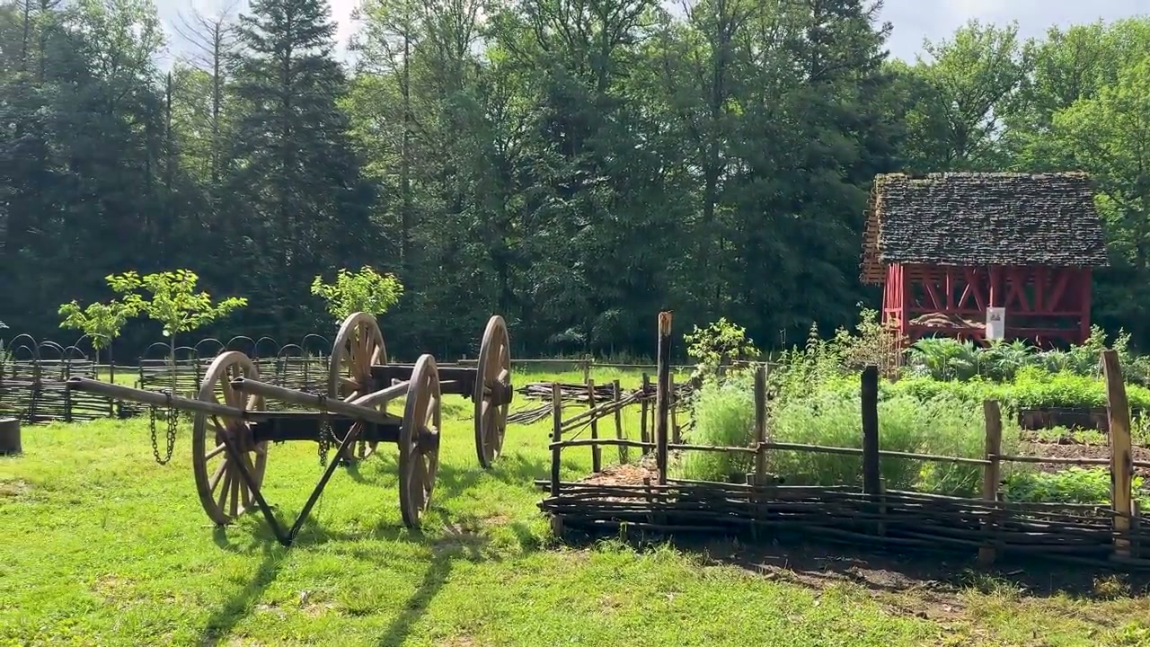 Une charrette dans les espaces extérieurs du chantier.