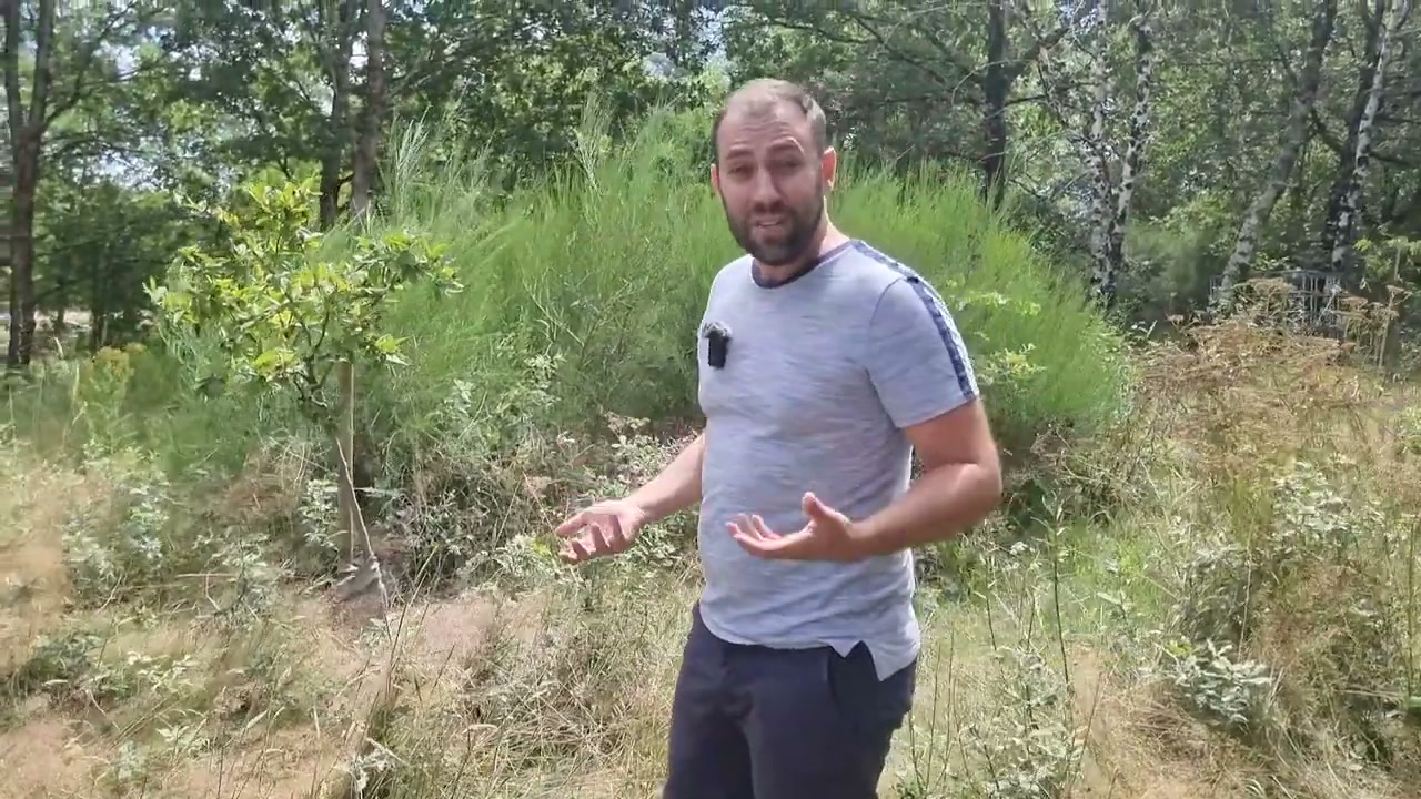 Brian présente les plantations du terrain de L’ArchiPelle.