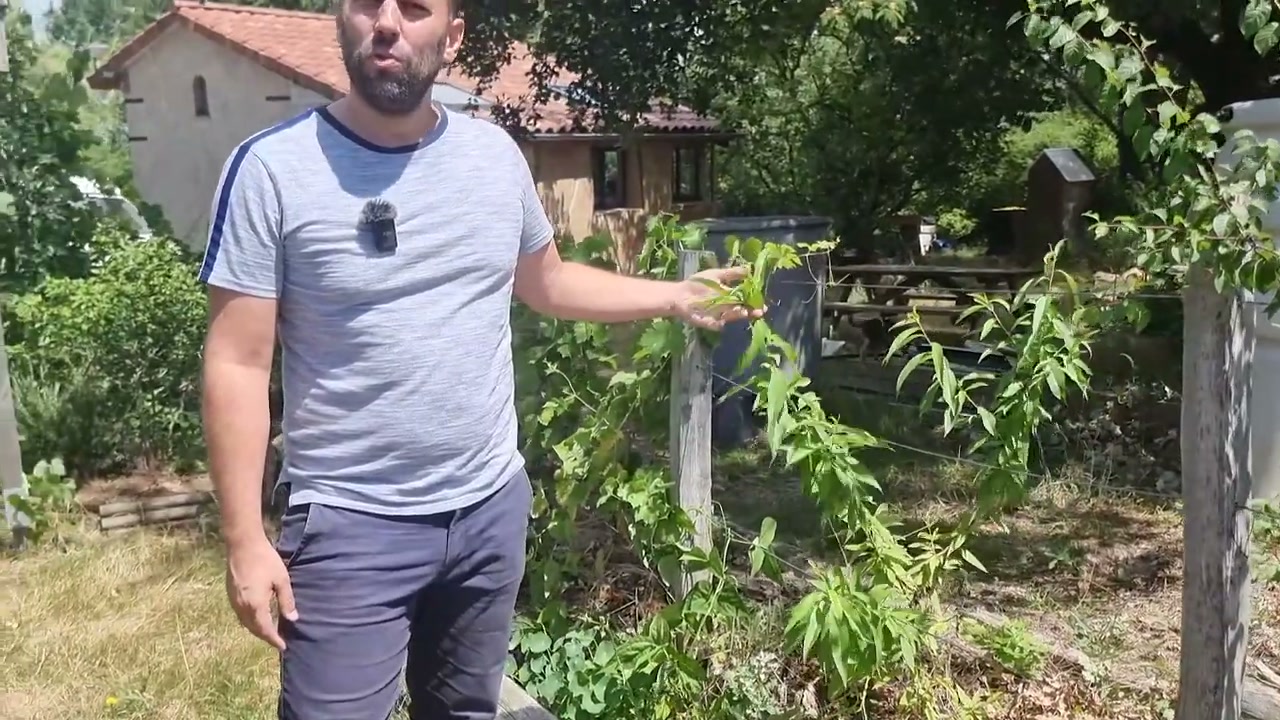 Brian fait le point sur les cultures pendant la visite.