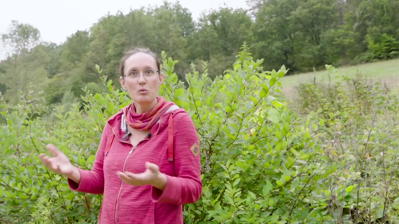 Anaëlle présente les plantations de son jardin.