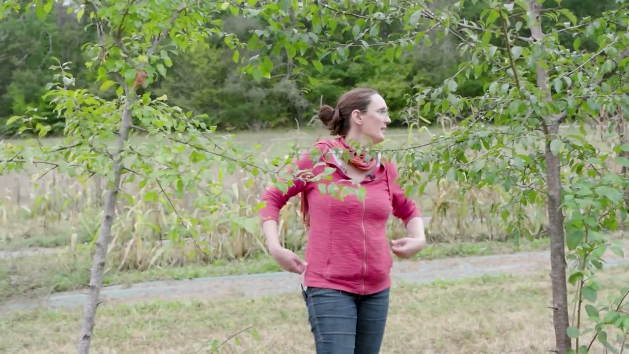 Anaëlle au milieu des lignes de plantation.
