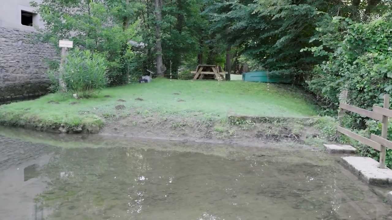 L’eau et les abords du moulin.