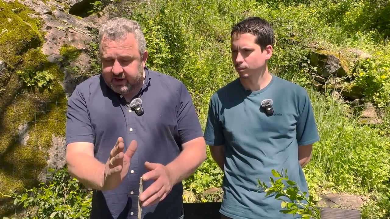 Les échanges entre Olivier et Loïc se poursuivent devant les agrumes.