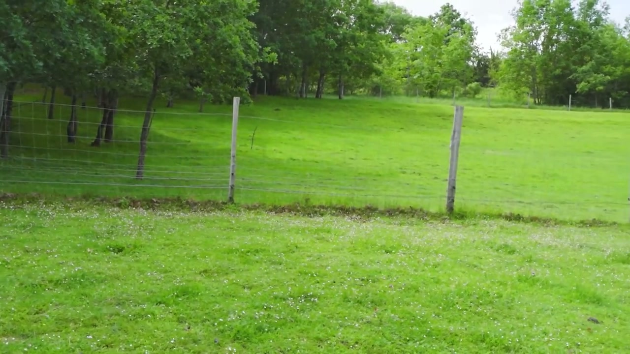 Une vue des espaces enherbés du terrain.