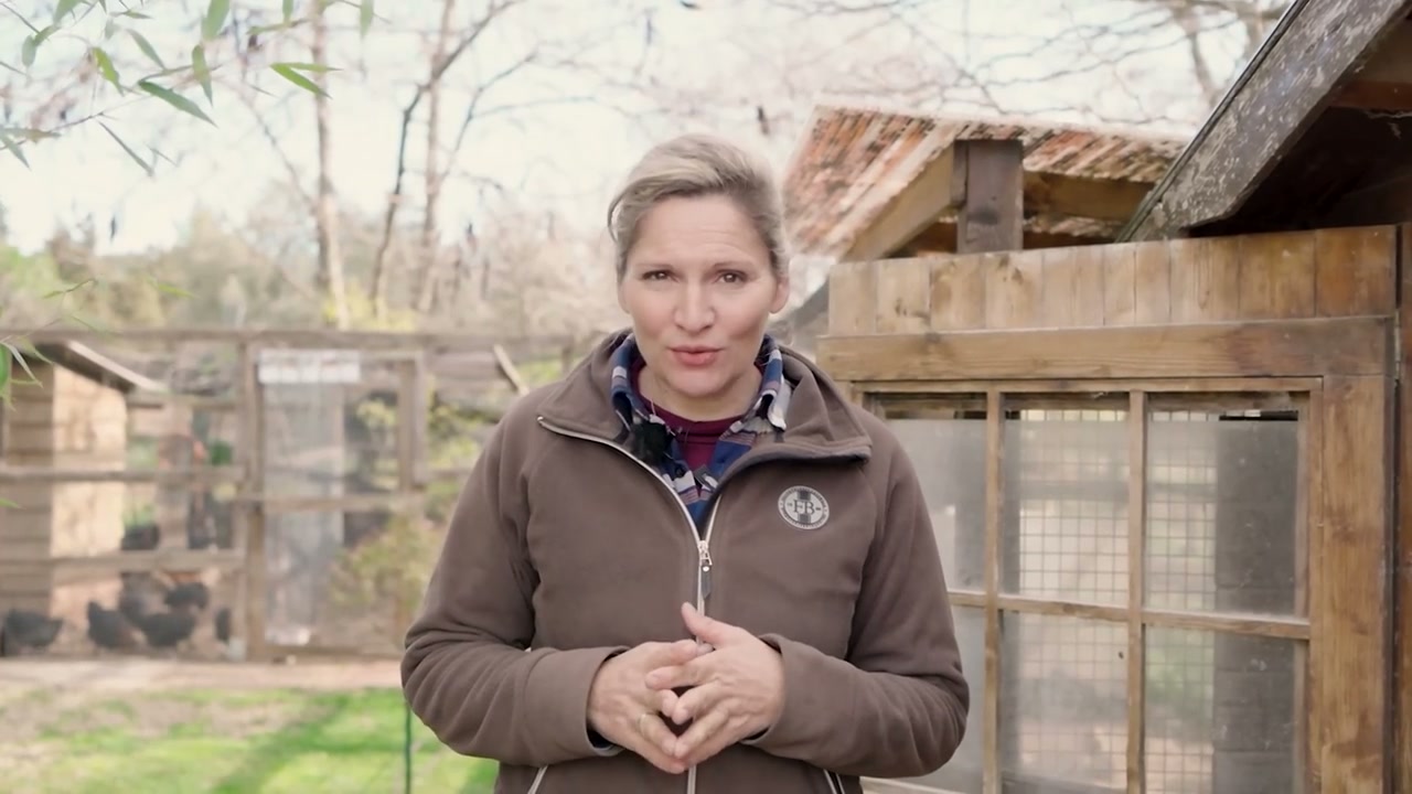 Caroline devant les enclos de son exploitation.