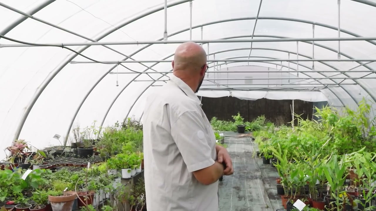 Claude présente les plantes de sa pépinière.