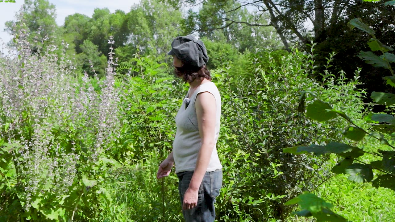Anaëlle présente les plantations du jardin