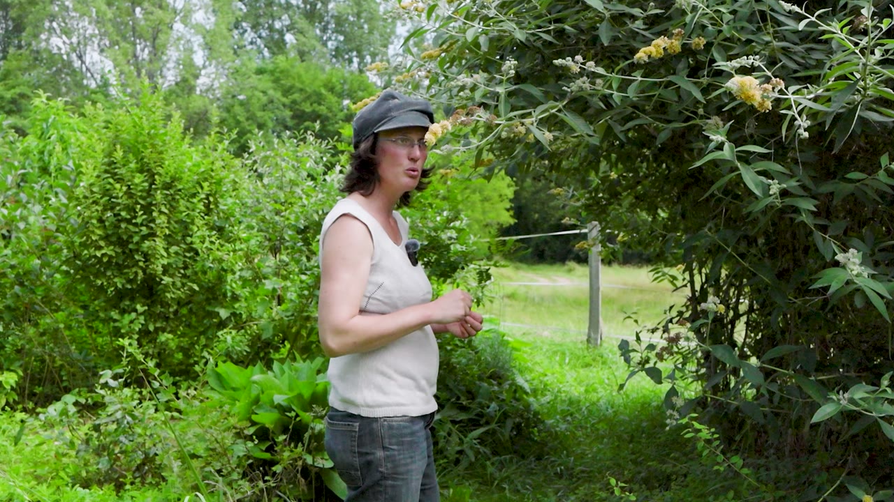 Un autre espace de plantation présenté par Anaëlle