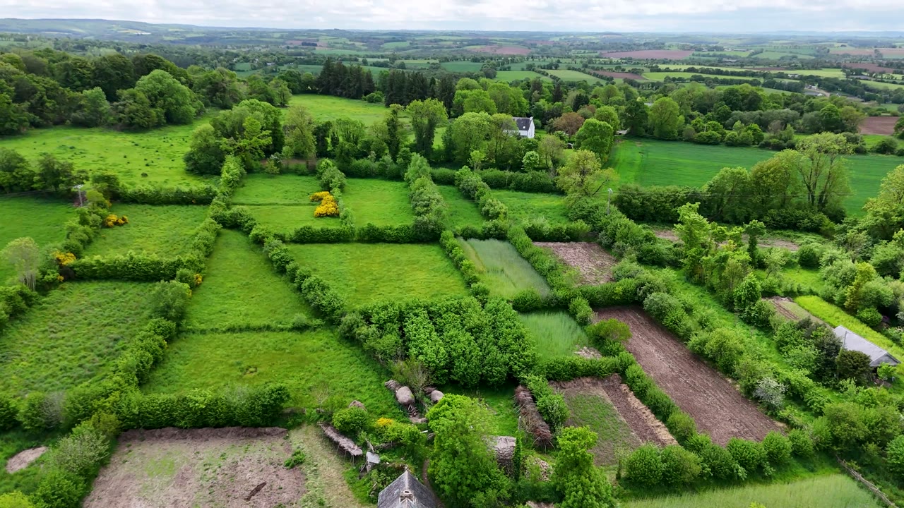 Vue d’ensemble du terrain de Samuel Lewis