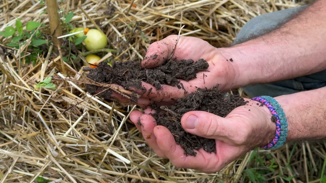 La structure du sol observée dans le jardin de Terre vivante
