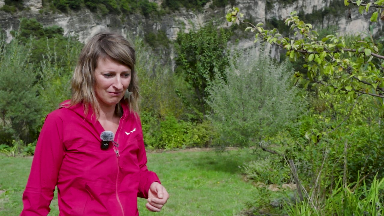 Aline dans le jardin mêlant plusieurs cultures