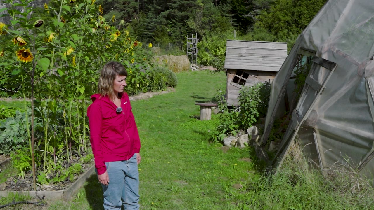 L’abri de culture présenté dans le jardin