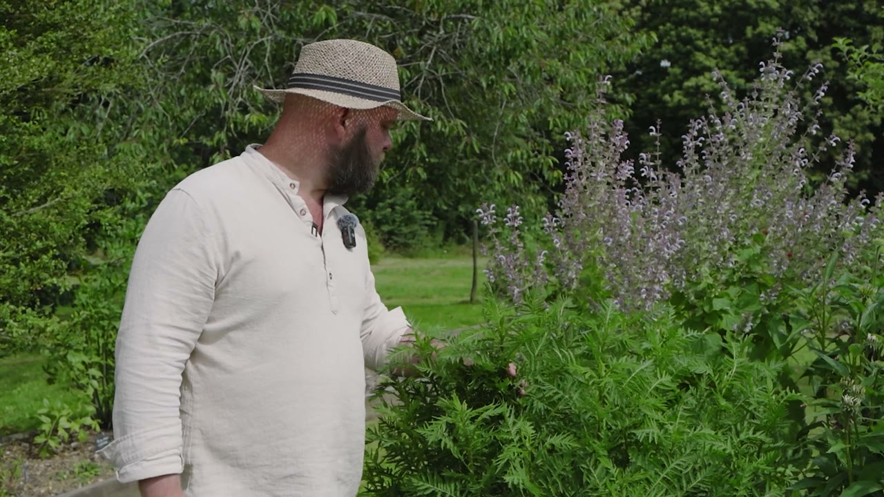 Terence observe les plantes vivaces du jardin