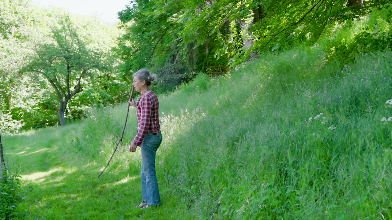 Françoise sur les parcelles de la ferme