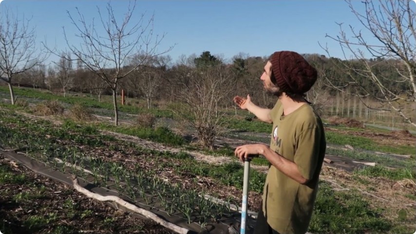 Benoît explique les choix de culture dans les parcelles maraîchères.