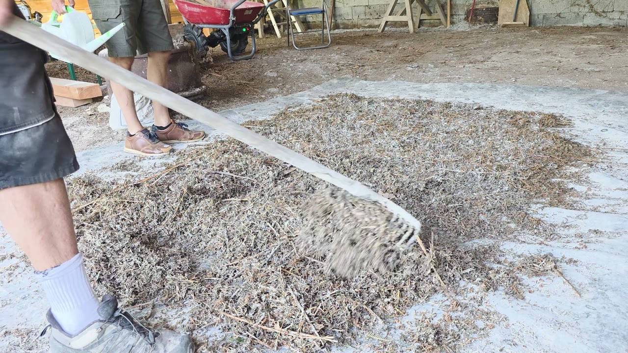 La préparation du mélange à base de fougères