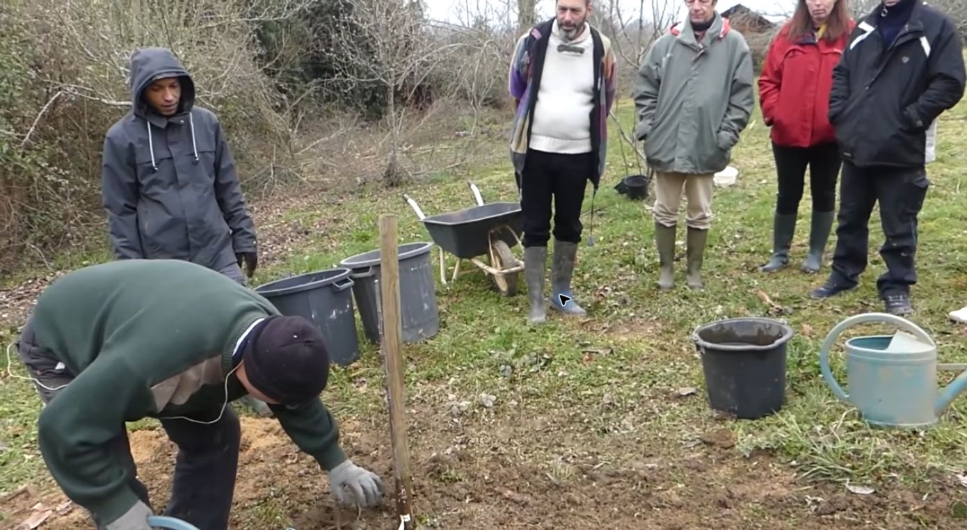 Stéphane termine la plantation du jeune fruitier devant le groupe.