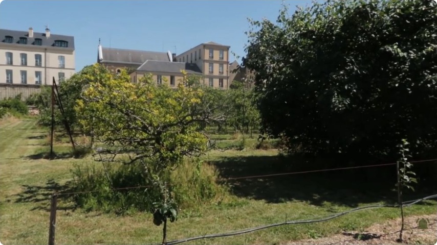 Les formes données aux fruitiers occupent une place importante dans la visite.