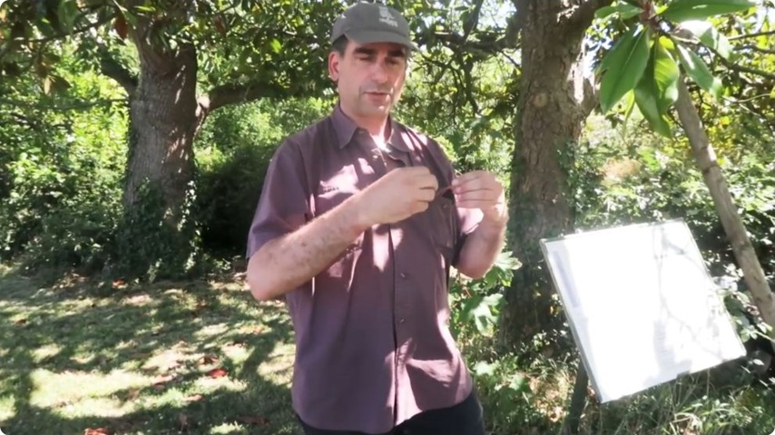 Les explications relient les arbres aux missions et à l’histoire du jardin.