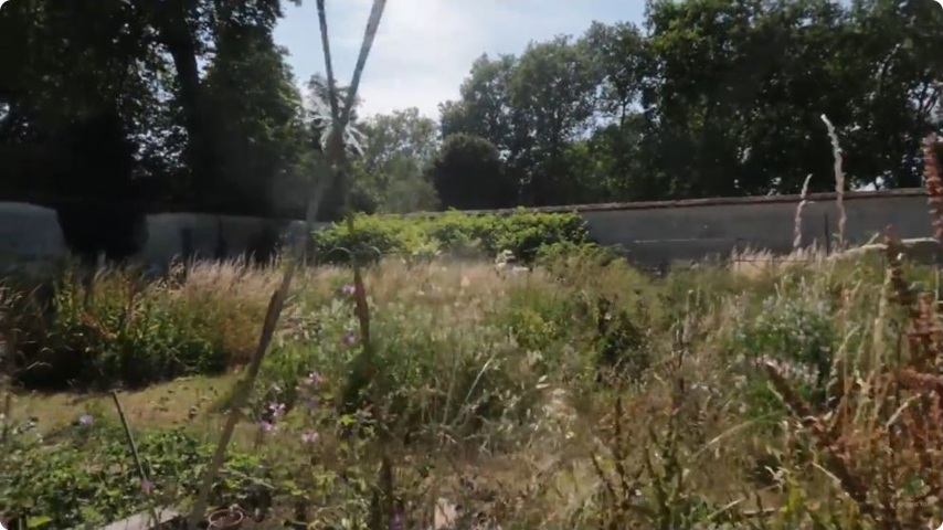 Les parcelles montrent aussi la diversité végétale du jardin en évolution.