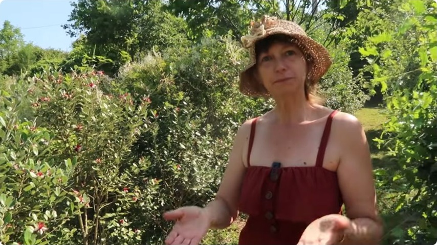 Cécile explique la diversité des plantations au fil des passages du jardin.