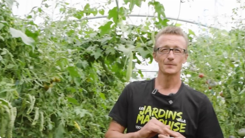 Dans la serre, Jérôme explique ses choix de variétés et de semences.